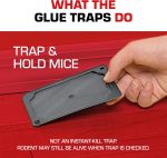 Tomcat Glue Traps Mouse Size with Eugenol for Enhanced Stickiness, 6 Traps - Image 6