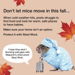 Steel Wool Mice Control 3-pc, Mouse Hole Filler, Scissors & Gloves, MaPorch - Image 6