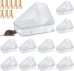 Qualirey 12 Pcs Triangle Mice Rat Bait Stations, 5x3 in, Translucent