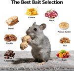 24 Pack Mouse Traps Indoor for Home,Mice Traps for House,Reusable Mouse Trap that Work,Small Mice Catchers for Home Indoor, Quick-Set Mousetraps for House Effective - Image 6