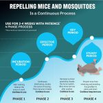 Bell+Howell 4 Pk Ultrasonic Pest Repeller Indoor, Mice Repellent Indoor Home Kit, DIY Pest Control at Home, Plug in Spider Repellent, Rodent Repellent, Bug, Insect & More, Family and Pet Safe - Image 3