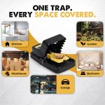 Glevro® 12 Pack Mouse Traps Indoor for Home,Mice Traps for House,Reusable Mouse Trap that Work,Small Mice Catchers for Home Indoor, Quick Set Mousetraps Effective - Image 4