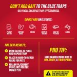 Catchmaster Super Glue Traps 30pk, Extra Strength Sticky Mouse & Rat Traps - Image 5