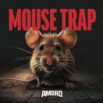 Amdro Mouse Trap - Image 3