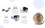 Home and Country USA Humane Mouse Trap - Our Mouse Traps are designed as a live mouse trap for those who want to quickly and easily remove a mouse the right way. (2) - Image 4