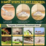 8 Set Ant Bait Stations Refillable, Indoor & Outdoor, Triangular, Clear - Image 5