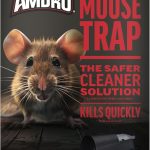 Amdro Mouse Trap