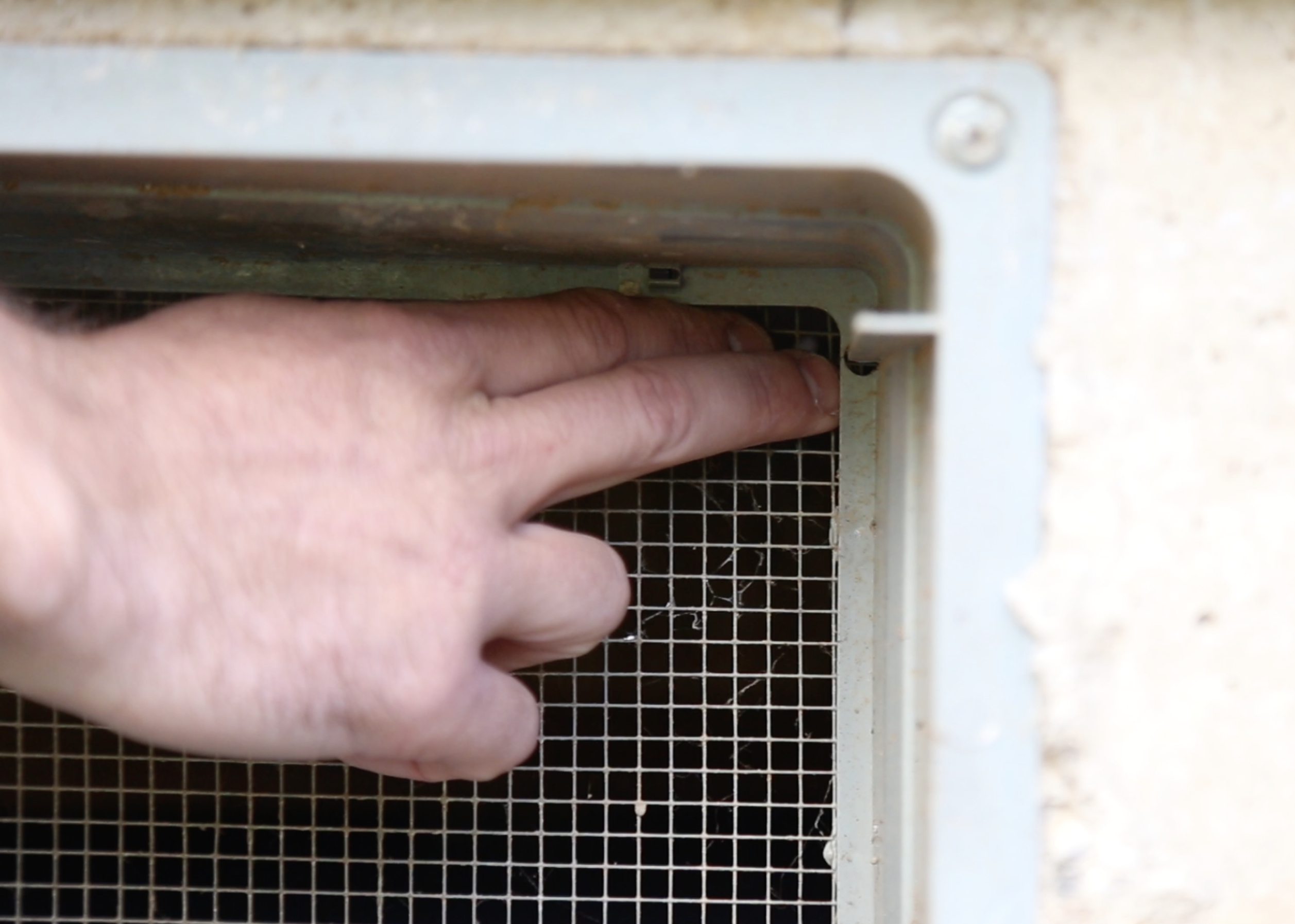 Fall Pest Prevention starts with a comprehensive inspection of your foundation.