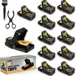 Glevro® 12 Pack Mouse Traps Indoor for Home,Mice Traps for House,Reusable Mouse Trap that Work,Small Mice Catchers for Home Indoor, Quick Set Mousetraps Effective
