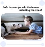 Home and Country USA Humane Mouse Trap - Our Mouse Traps are designed as a live mouse trap for those who want to quickly and easily remove a mouse the right way. (2) - Image 2