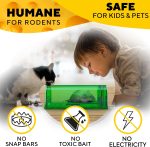 Humane Mouse Trap (2 Pack), Catch and Release Live Mouse Traps, Indoor - Image 2