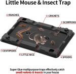 LULUCATCH Mouse & Insect Traps 12 Pack, Heavier Sticky Traps with Non-Toxic Glue for Small Mice & Insects. Sticky Mouse Traps Indoor for Home, Easy to Set - Image 2