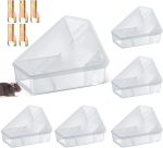 Qualirey 6 Pcs Triangle Mice Rat Bait Stations, 5x3 in, Translucent