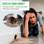 Rat Bait Stations 4 Pack, Lockable Rodent Traps, Indoor & Outdoor - Image 2