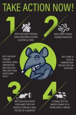 Rat Trap Six Pack - Powerful Reusable Traps for a Quick Kill Indoor or Out - Image 2