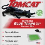 Tomcat Super Hold Glue Traps Mouse Size for Mice, Cockroaches, Spiders, and Scorpions, Ready-To-Use, 4 Traps