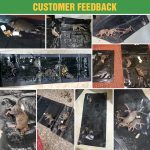 10 Pack Super Large 47.2 * 11'' Sticky Mouse Rats Glue Traps for Mice - Image 2