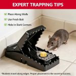 USKICH 8 Pack Mouse Traps Indoor for Home, Mouse Trap for House Indoor Kill, Reusable Mice Traps, Small Rat Traps for Home, Quick-Set Effective Mousetraps for Family - Image 4