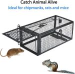 Gingbau Live Chipmunk Rat Trap Humane Vole Mouse Cage Trap - Image 2