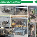 2 Packs Humane Rat Mouse Trap Outdoor Live Animal Cage Indoor & Outdoor - Image 3