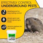 Kaput-D Pocket Gopher Bait Bucket - Ready-to-Use Wheat Grains for Effective Rodent Bait, Perfect for Residential & Agricultural Use - Diphacinone Formula for Lawn, Turf & Crop Areas (30 lbs) - Image 3