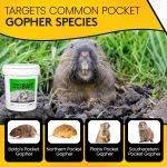 Kaput-D Pocket Gopher Bait Bucket - Ready-to-Use Wheat Grains for Effective Rodent Bait, Perfect for Residential & Agricultural Use - Diphacinone Formula for Lawn, Turf & Crop Areas (30 lbs) - Image 4