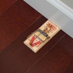 Victor Metal Pedal Mouse Traps, 12-Pack, Reusable Wooden Snap Traps - Image 10