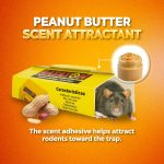 Glue Mouse Traps for Rats and Mice, Peanut Butter Scented Sticky Traps, Non-Toxic Pest Control, Indoor & Outdoor Use, 12 Pack - Image 4