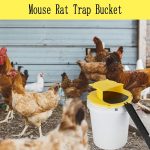 Mouse Rat Trap Bucket,5 Gallon Mouses Rat Traps Indoor for Home - Image 8