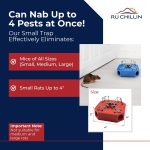 Reusable Multi-Catch Mouse Trap, Indoor/Outdoor - Black - Image 3