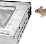Humane Mouse Trap 2-Pack – No Winding or Resetting, Non-Jamming, Clear Window View, Silver, No-Kill Indoor Mouse Traps, Preferred by Professional Pest Controllers - Image 4