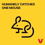 Victor Live Catch Mouse Trap, 1-Pack, Humane Catch & Release Trap for Mice - Image 3