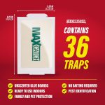 Catchmaster Max-Catch Unscented Glue Traps 36pk, Sticky Mouse Traps Indoor - Image 2