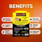 Glue Mouse Traps for Rats and Mice, Peanut Butter Scented Sticky Traps, Non-Toxic Pest Control, Indoor & Outdoor Use, 12 Pack - Image 2