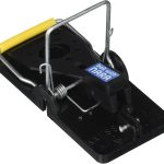 Mouse Trap-6 Pack