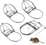 Spring Mouse Trap