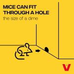 Victor Live Catch Mouse Trap, 1-Pack, Humane Catch & Release Trap for Mice - Image 2